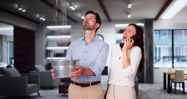 Best Odor Removal and Sanitization After Water Damage in Alta, IA